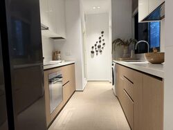 Palisades (D5), Condominium #542228071